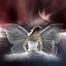 Kathleen Parr Photo 8