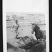 Bert Thornton Photo 11