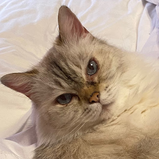 Shelly Green Photo 34