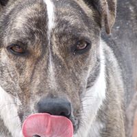 Michelle Busbee Photo 3