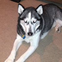 Shane Mcgraw Photo 26