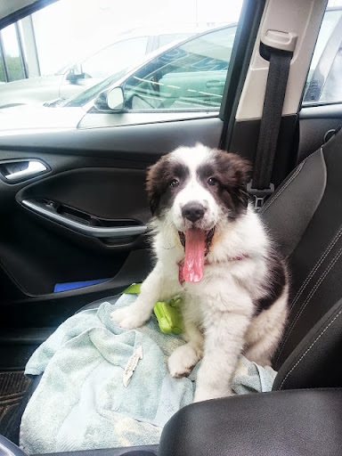 Karl Andersen Photo 31