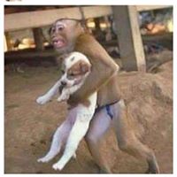 Tonya Howell Photo 25