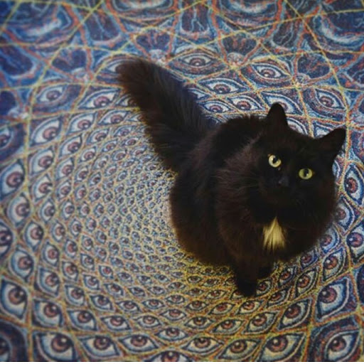 Jack George Photo 20