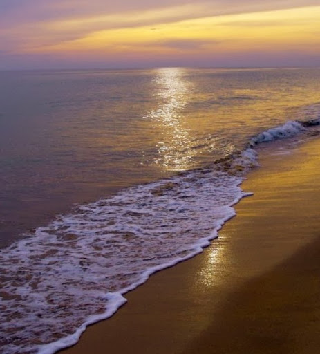 James Moses Photo 20