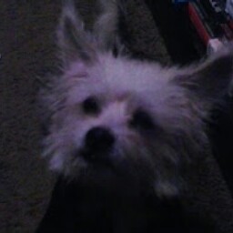 Victoria Lehman Photo 13