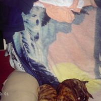 Angel Clemons Photo 27