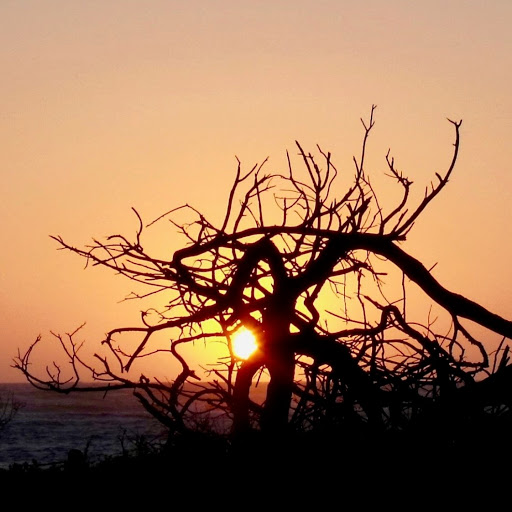 Donna Christie Photo 9