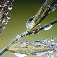 Julia Leung Photo 14