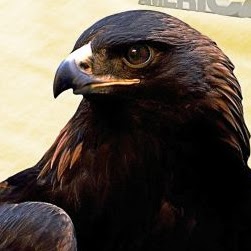 Ruben Reyes Photo 19 Ruben Reyes Photo 19