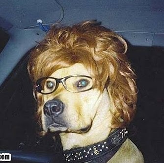 Barbara Bridges Photo 17