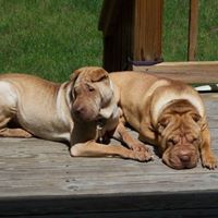 Jonathan Browning Photo 22