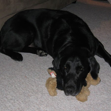 Joan Macpherson Photo 3