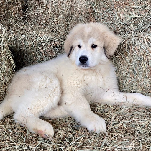 Jessica Cecil Photo 32