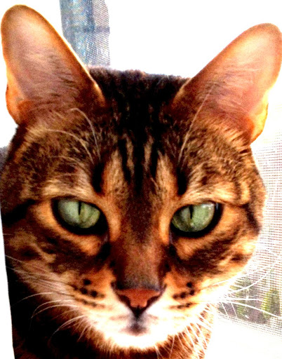 Samantha Taylor Photo 40