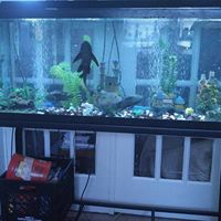 Shawn Gibbs Photo 19