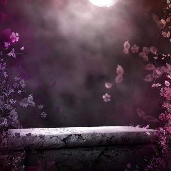 Susan Cullen Photo 27