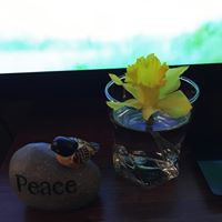 Debbie Blake Photo 37