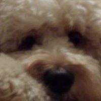 Randy Mcintyre Photo 12