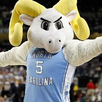 Terence Forbes Photo 17