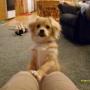 Cheryl Phillips Photo 15