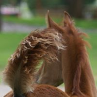 Elizabeth Milam Photo 11