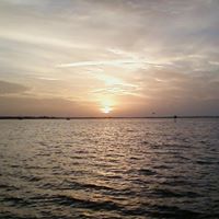 Michele Derose Photo 7