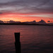 Dawn Wallis Photo 21
