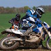 Neil Cavanagh Photo 7