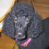 Charles Mcgehee Photo 2