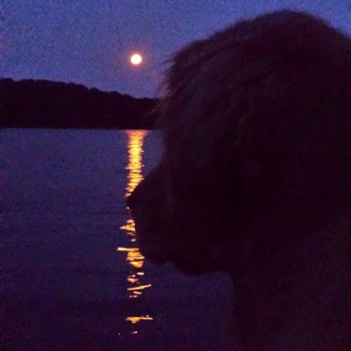 Roger Ball Photo 41 Roger Ball Photo 41