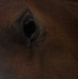 Rebecca Pierson Photo 20