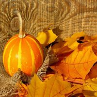 Holly Guthrie Photo 36