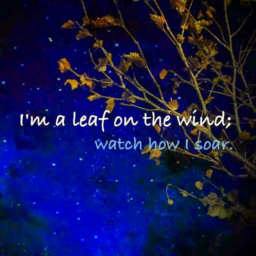 Megan Barney Photo 17