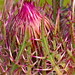 Mary Woodruff Photo 37