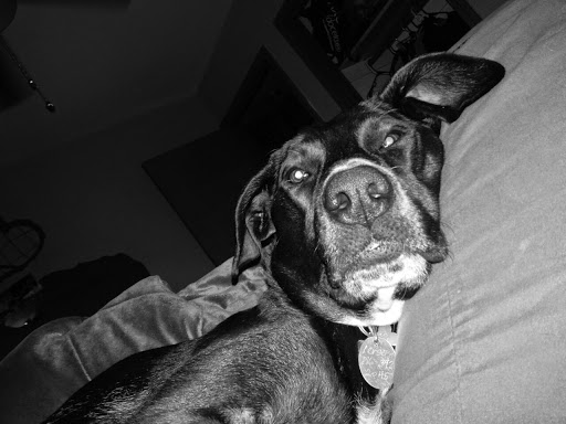 Julie Hylton Photo 9