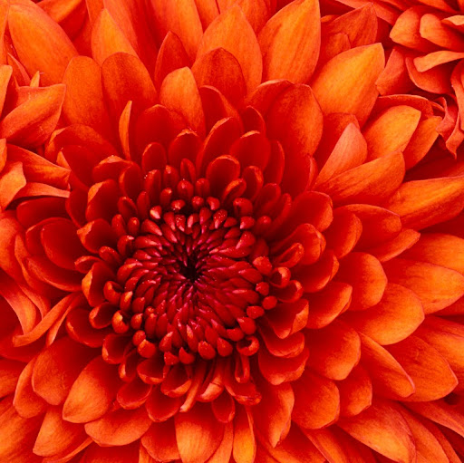 Jane Goodwin Photo 17