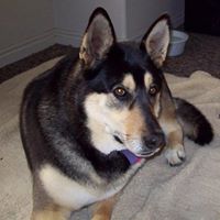 Suzanne Lang Photo 17