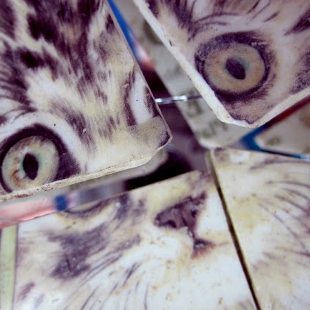 Sarah Lovett Photo 11