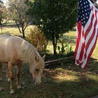 Nancy Standifer Photo 9