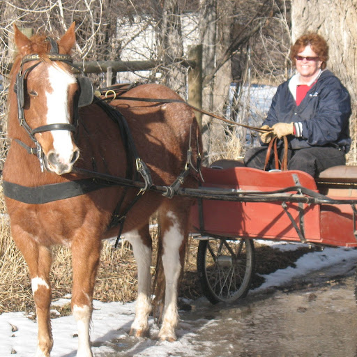Bridgett Johnson Photo 18