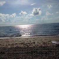 Deborah Gaffney Photo 10