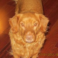 Debbie Provenzano Photo 7