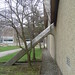 Rickey Rains Photo 6