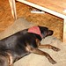Donna Earls Photo 26