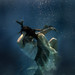 Jessica Deer Photo 9