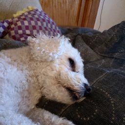 Rich Hubbard Photo 12