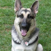 Christine Hatfield Photo 13