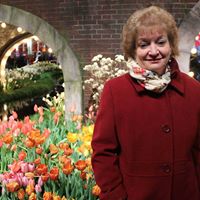 Debra Kline Photo 20