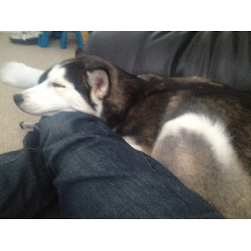 Eddie Rodgers Photo 35